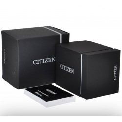 Citizen - Orologio Eco Drive Lady acciaio quadrante nero